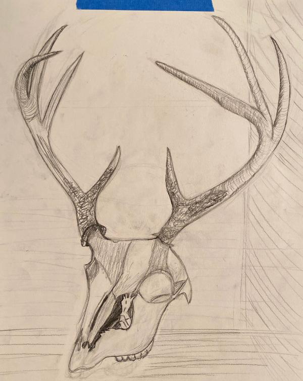 Skull process 1