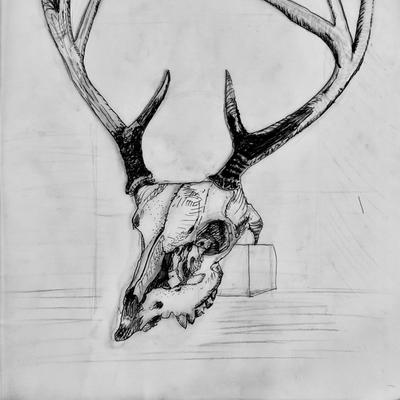 Skull