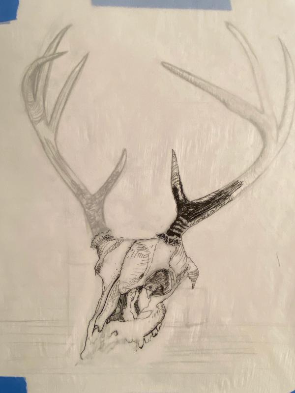 Skull process 2