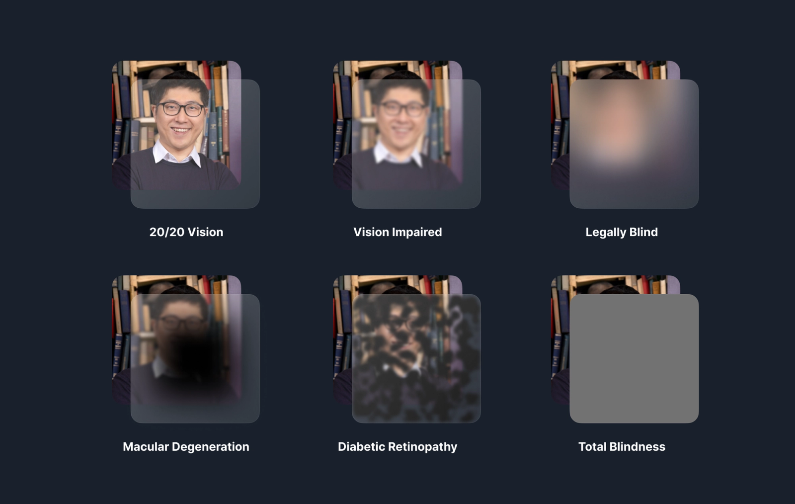 A grid of illustrations showing various visual impairments overlaid on an image
