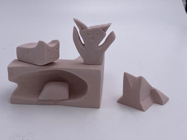 Renshape Cats process 1