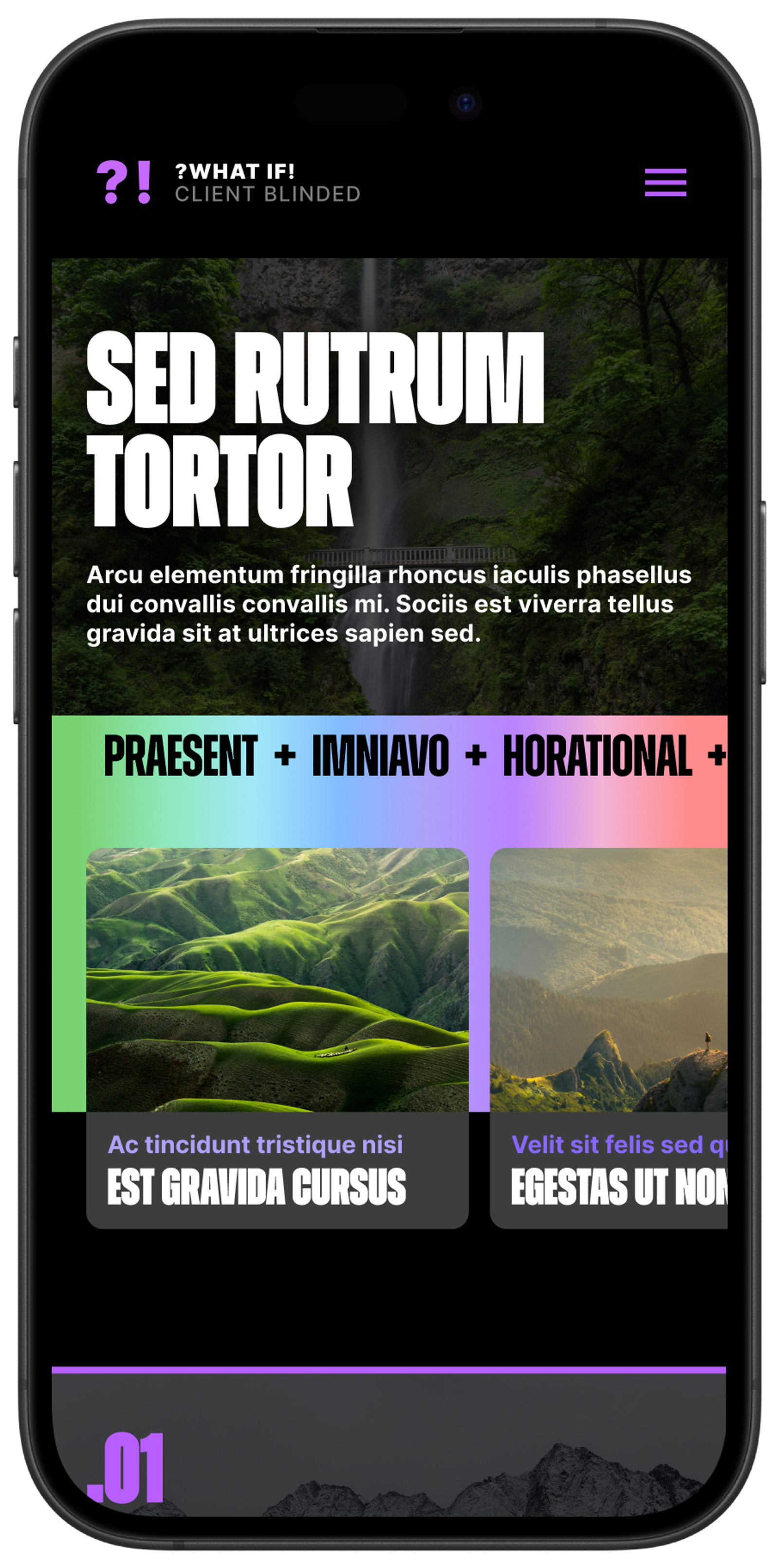 Mobile version of the Learning Platform